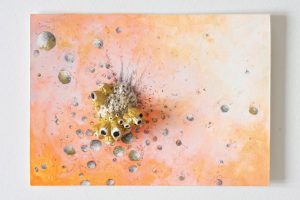 Kerstin_Burst_Spacemuschel_web