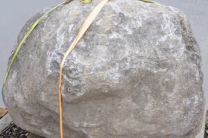 Sylvia Richter-Kundel_Kein Geschenk